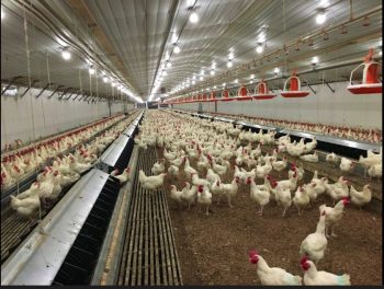 Image 2-4-25 at 3.14 PM